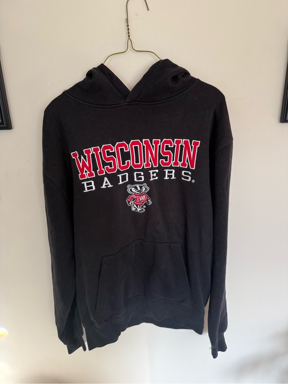 Campus Heritage Black Hoodie with Red Hood Lining and White/Red Lettering